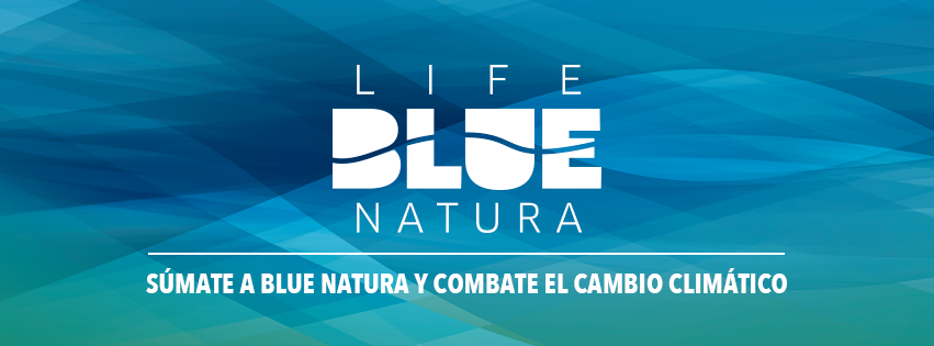 The “Blue Carbon Trip” itinerant campaign takes a break until spring 2019