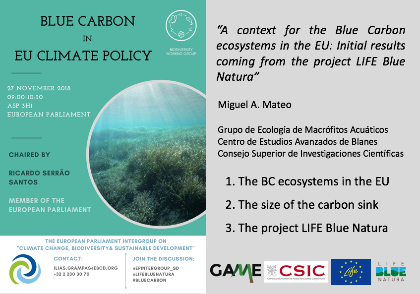 A Context For The Blue Carbon Ecosystems In The EU: Initial Results Coming From The Project LIFE Blue Natura