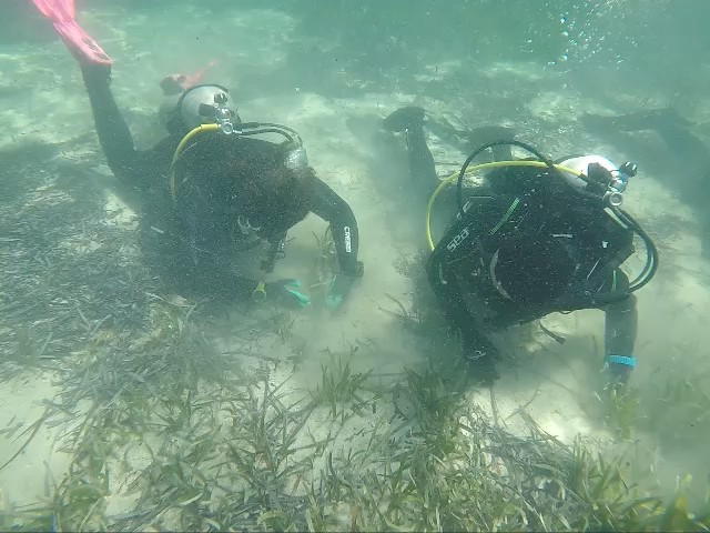 Restaurando Shark Bay con Tidal Moon