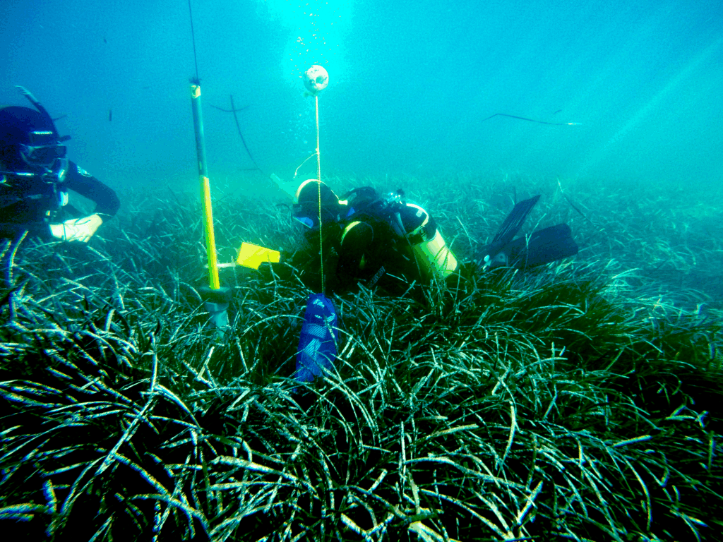 3.000 Años De Sedimentos Marinos Revelan Que La Contaminación Por Mercurio En Australia Occidental No Ha Aumentado Desde La Colonización Europea