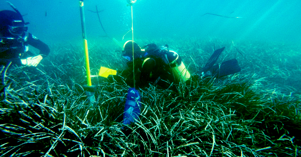 3.000 Años De Sedimentos Marinos Revelan Que La Contaminación Por Mercurio En Australia Occidental No Ha Aumentado Desde La Colonización Europea