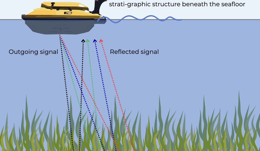 El Proyecto Internacional BLUESTOCK Revoluciona El Estudio De Posidonia Oceanica Con Tecnología No Invasiva
