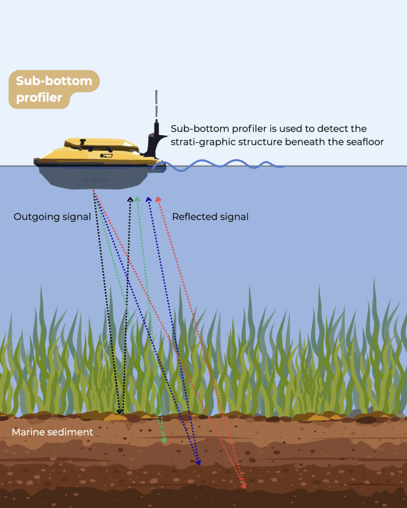 El Proyecto Internacional BLUESTOCK Revoluciona El Estudio De Posidonia Oceanica Con Tecnología No Invasiva