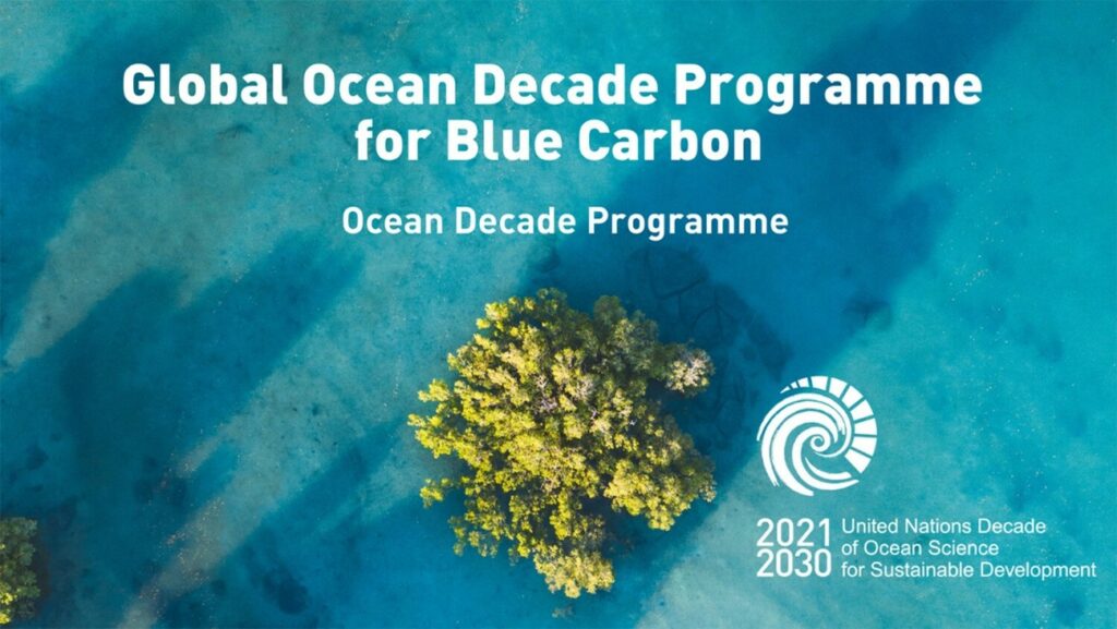 La Ocean Decade (UNESCO) Impulsa La Investigación Del Carbono Azul Para Mitigar El Cambio Climático