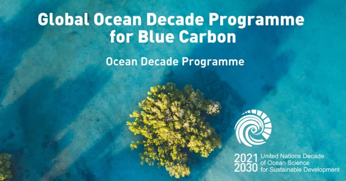 La Ocean Decade (UNESCO) Impulsa La Investigación Del Carbono Azul Para Mitigar El Cambio Climático