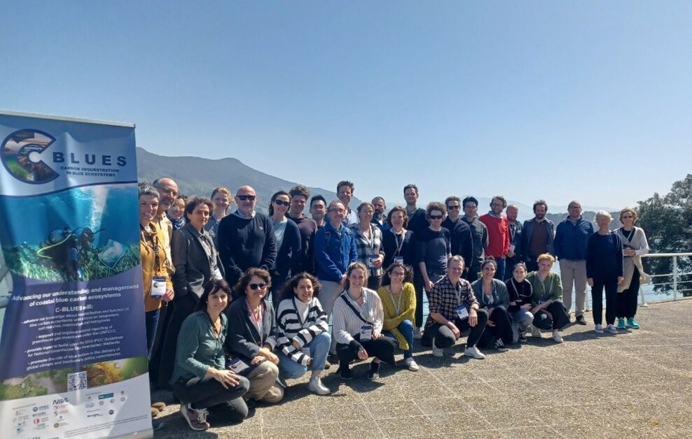 GAME Forma Parte Del Comité Asesor Del Proyecto Europeo C-BLUES