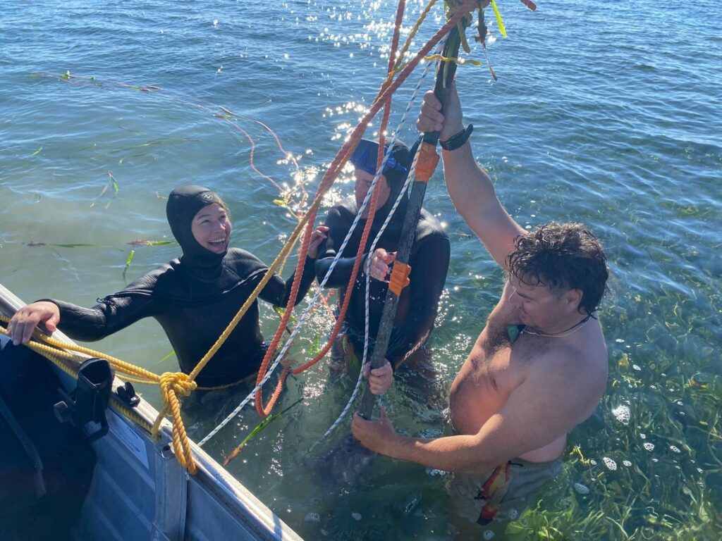 La Biodiversidad Asociada A Las Praderas Marinas De Shark Bay, Bajo La Lupa De Nuevas Tecnologías De ADN Ambiental